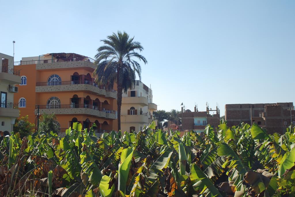 לוקסור Al Gezera Apartments חדר תמונה